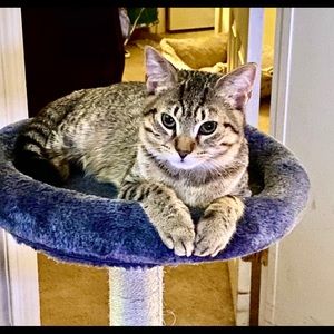 Meet your Posher, Kimberly sowell